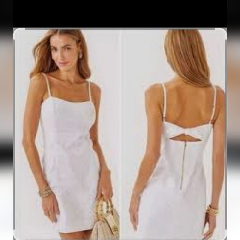 Lily Pulitzer Shelli eyelet Dress NWT - Picture 4 of 11